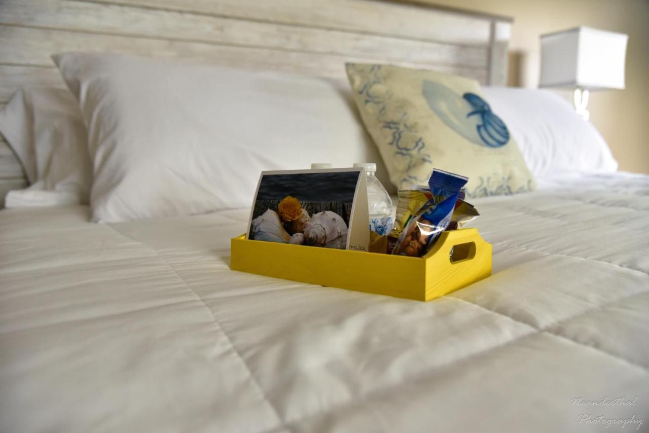 The Yellow Rose Of Talbot Bed And Breakfast イーストン エクステリア 写真